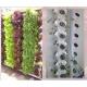 New Style Hydroponic Growing Systems Tower Garden Aeroponics System