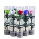 Wholesale fresh preserved roses with long stems  Decorative Flowers