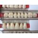 High Strength Artificial Dental Acrylic Resin Teeth With High Biocompatibility