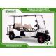 Intelligent Onboard Charger Electric Golf Carts 48V Lithium Battery Powered