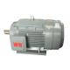 Alternating Current 450V Three Phase Electric Motor