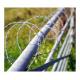 Anping High Quality Razor Barbed Wire Double Concertina Razor Wire Factory