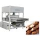 Covered Fruit 1200mm Chocolate Enrobing Machine