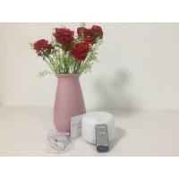 24Hz 300ml Ultrasonic Essential Oil Diffuser For Bedroom , Living Room