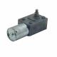 DC Motor 12-36v Electric Motor 50-100w For Home Appliances Blender Motor