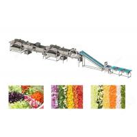 Commercial Vegetable Fruit Washing Equipment Vegetable Processing Line for vegetable processing plant