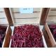 SHU 15000 Tianjin Red Chilies 0.3% Impurity XingLong Dry Red Chilli