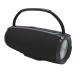 Dual 10W Bluetooth 5.3 Speaker 2600mAh Handle Design RGB Light & 4-Mode Playback AUX TF FM USB Flash Drive