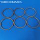 YUBEI Silicon Carbide Seal Rings SSiC Pumping Ring Mechanical Seal