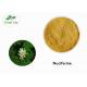 Food Grade P.E. Natural Weight Loss Powder Lotus Leaf Extract 20% Nuciferine
