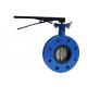 Double Flange Cast Iron Butterfly Valves With Gear Box Operator Ductile Iron Disc