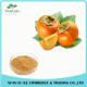 Reasonable Price Natural Fresh Persimmon Fruit Extract