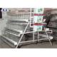A Type Modern Chicken Cages Galvanized Surface SASO Certification