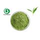 Organic Pure Matcha Powder Green Tea Polyphenols
