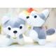 25cm Size Cute Husky Plush Toy , Colorful Custom Made Plush Toys CE Certified