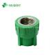 PP-R Normal Green Pipe Fitting Connector Female Brass Insert Coupling for Benefit