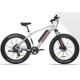 48V 500W 8Fun Brushless Motor Mountain Electric Bicycle MTB Electric Powered Bike with LCD Display