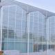 Hydroponics Cultivation Method Agriculture Glass Greenhouse for Tomato/Fruit Tempered