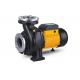 Single Stage Nfm Series Electric Centrifugal Pump , Pool High Volume Electric Water Pump