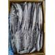 1# BQF Seafrozen Pacific Saury Fish With Bulk Packaging