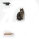 Modern Metal Cat Room Wall Seat with Stamping Parts Installation Wall Mount Pre Drill