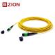 24 Fibers MPO Female To MPO Female Singlemode 3.0mm LSZH MPO Patch Cord Custom Meters