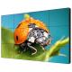 Frameless 55" Seamless LCD Video Wall Monitors Original Panel High Brightness