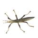 Insect Figures Model Toy Stick Insect Figurines Party Favors Supplies Cake Toppers Decoration Set Toys