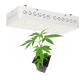 High Power Strong PPFD COB LED Grow Light Commercial Grade Easy To Mount