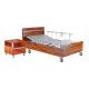 Electric Two Movements Elderly Homecare Hospital Bed