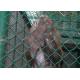 Chain Link Woven Chicken Wire Fence For Breeding Animals , 1-7.0mm Dia
