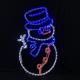 2019 Christmas newest arrival LED rope light motif lights IP55 garden outdoor commercial / household decoration lighting