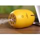 lemon design  mini homemade humidifier air cleaner mist spray to moisture skin and air humidifier