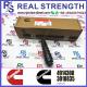 Common Rail Fuel Injector Assembly NT855 Fuel Injector 4914308