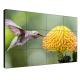 46 49 55 HD Indoor Seamless LCD Video Wall With Bulit - In Controller