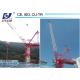 6ton Max. Load 25m Jib QTD Tower Crane Manufacturer Luffing Crane Supplier