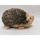 17cm 6.69in Toys Out Of Recycled Materials Rainbow Hedgehog Stuffed Animal