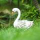 Vivid Metal Swan Animal Garden Ornament Outdoor Accoutrements