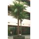 Hot Sale Artificial Outdoor Coconut Tree/Fake Coconut Trees for Outdoor & Indoor Decoratio