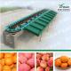 Fruit and vegetable sorting machine YSXD--66-8-86 factory price
