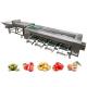 SUS304 Citrus Roller Sorting Machine For Fruits And Vegetables Processing Line