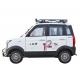 s Latest Miniature Electric Vehicle Flying Pigeons Red Flags Electric Car with 4 Seats