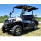 Golf Cart Gas Utility Vehicles UTV Rancher 200 EFI With Automatic Trans Reverse