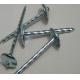 Umbrella Head Metal Working Tools , Q195 Galvanized Roofing Nails Twisted Shank