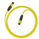 Singlemode Or Multimode 1M, 3M, 5M, Customized Yelow color MPO Fiber Optic Patch Cord