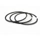 Corrosion Preventive Diesel Piston Rings For Hino RD10T WP381 135.0mm 4+3+5