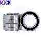 Automotive 2 RS Seal Ball Bearing 6007 Anti Wear Single Row For Roller Skate