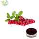 Urinary Cranberry Extract Supplements 5% Proanthocyanidins Pine Bark Extract