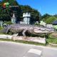 Life Size Animatronic Crocodile 3 meters