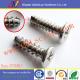 Stainless Steel Type BT Thread Cutting Screws